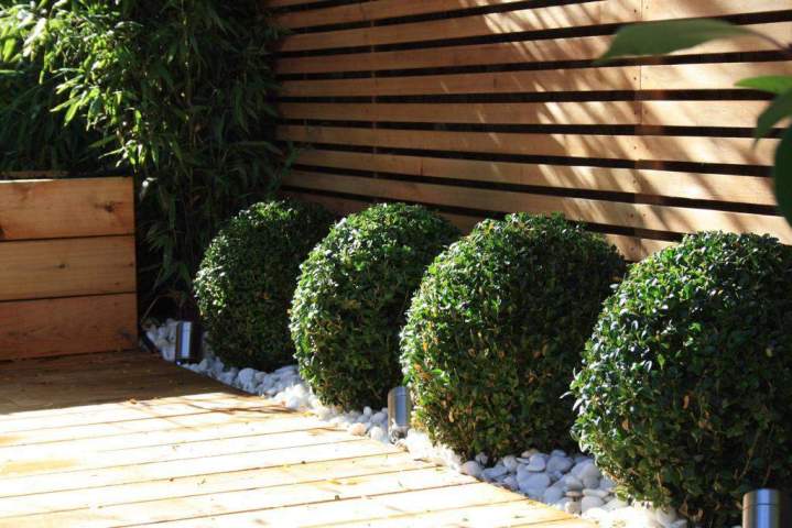 Landscape Architecture Miami