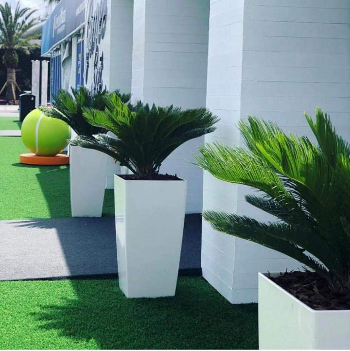 Residential Landscape Design Miami